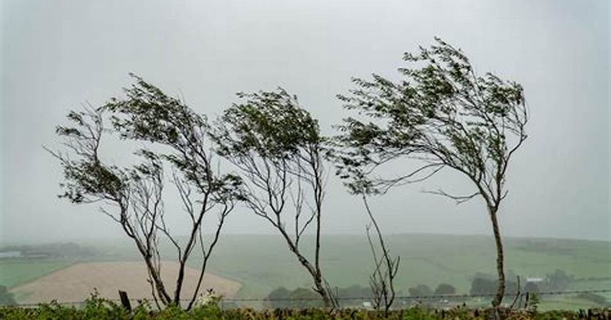 When Is the Wind Too High to Burn?
