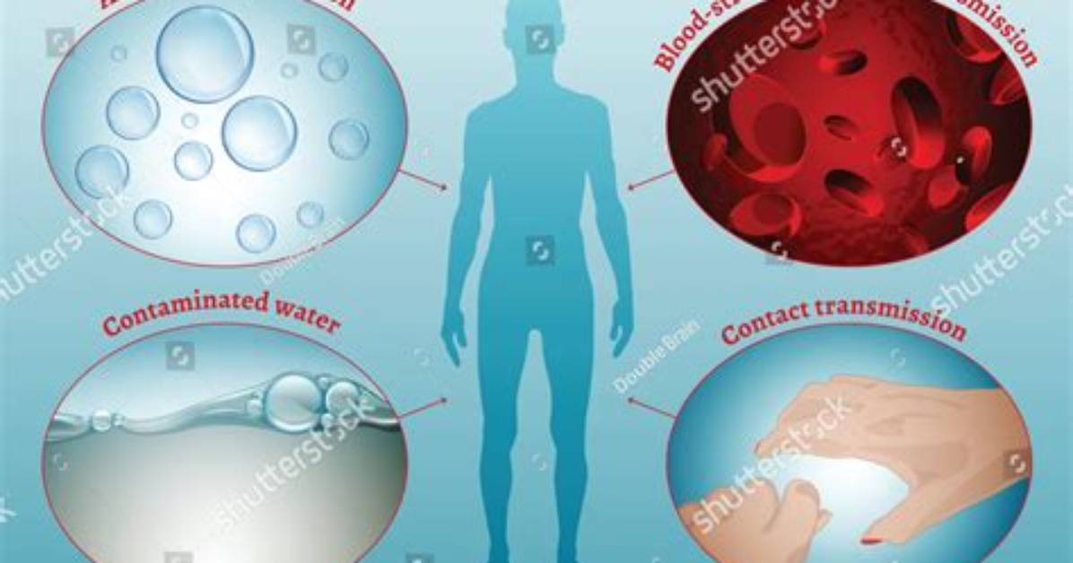 When Pathogens Transfer from One Place to Another?