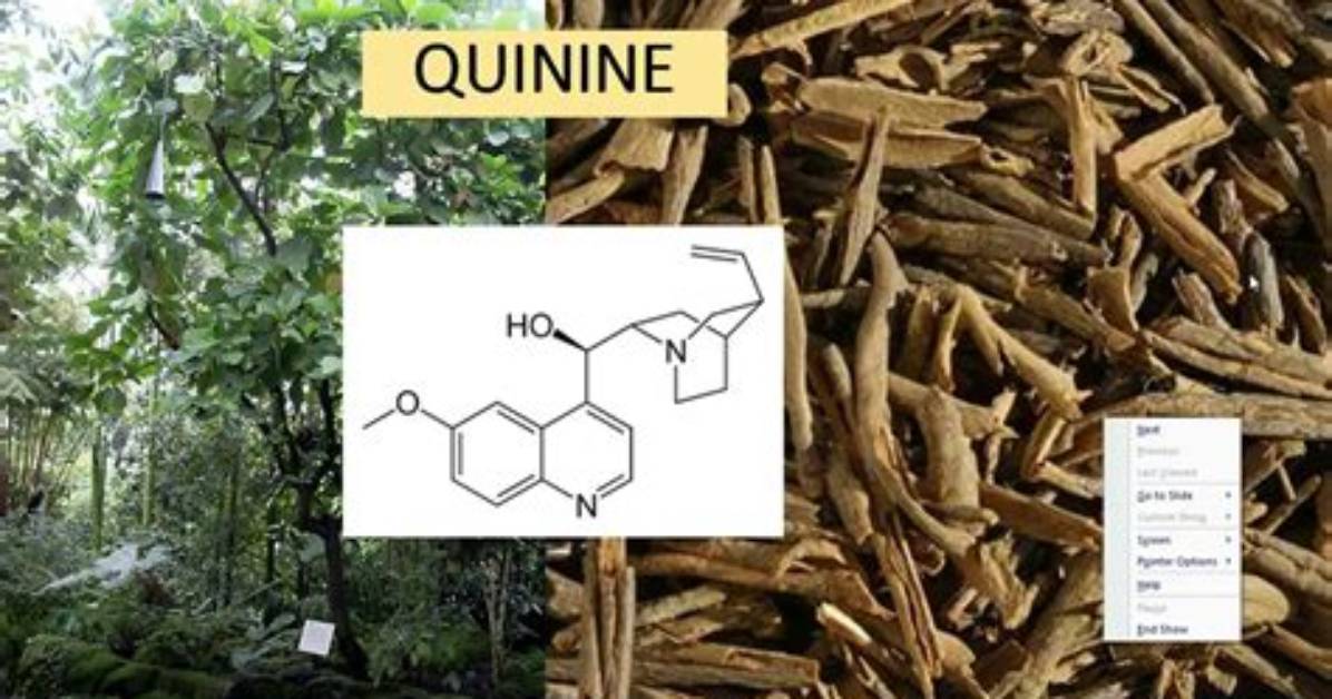 When Quinine Was Discovered?