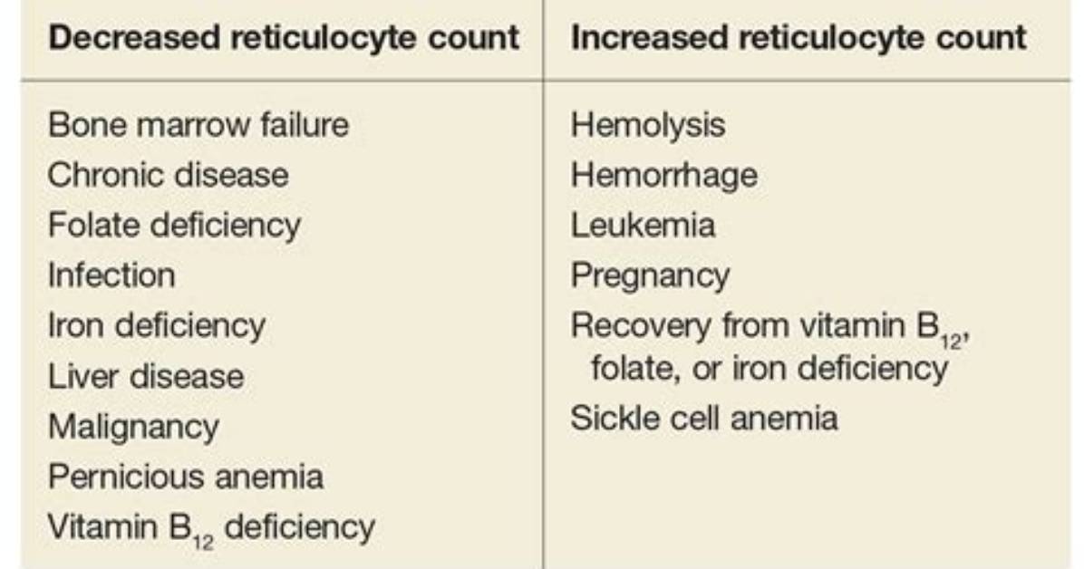 When Reticulocyte Count Increased?