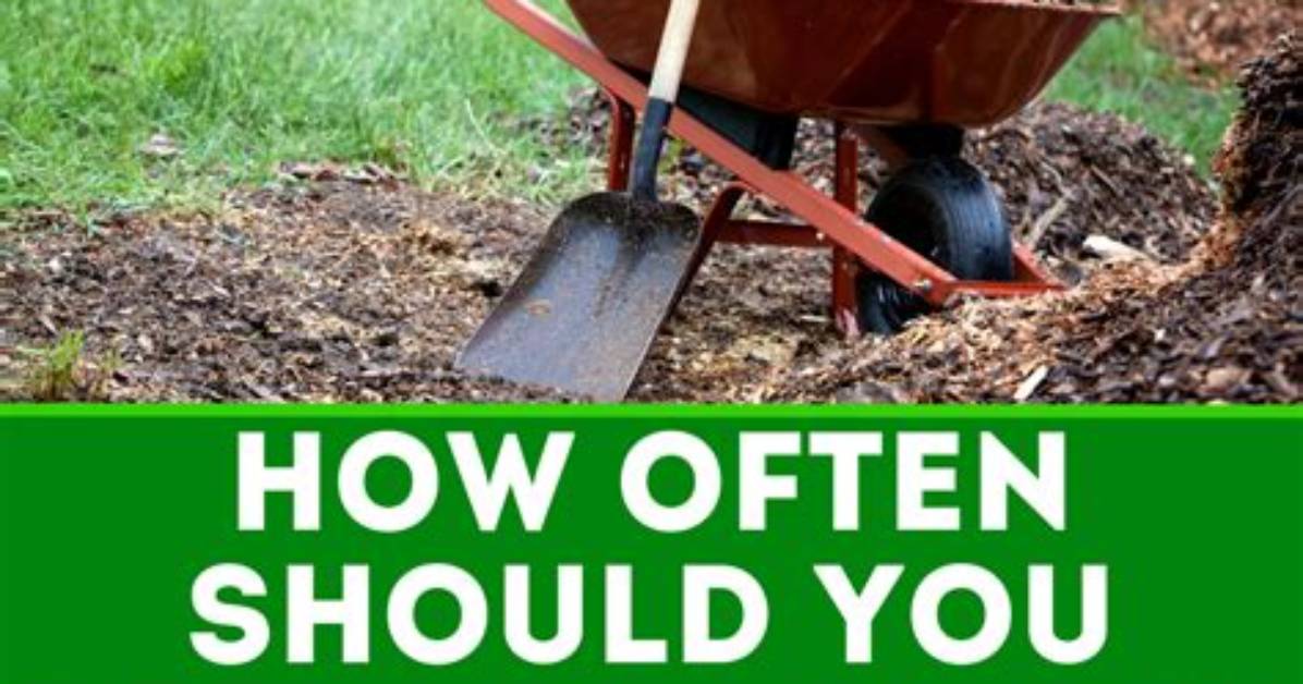 When Should I Add Mulch