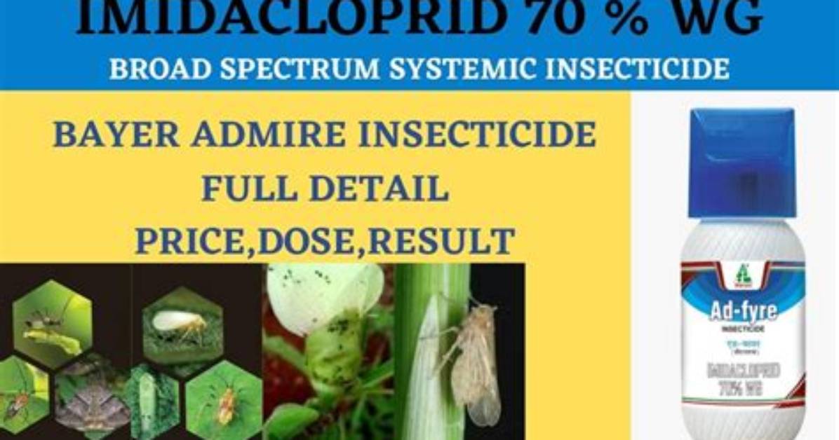 When Should I Apply Imidacloprid?