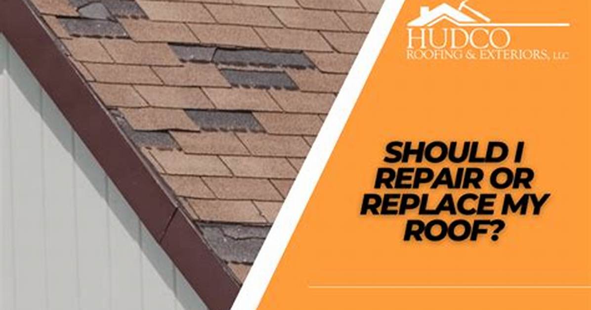 When Should I Replace My Shake Roof