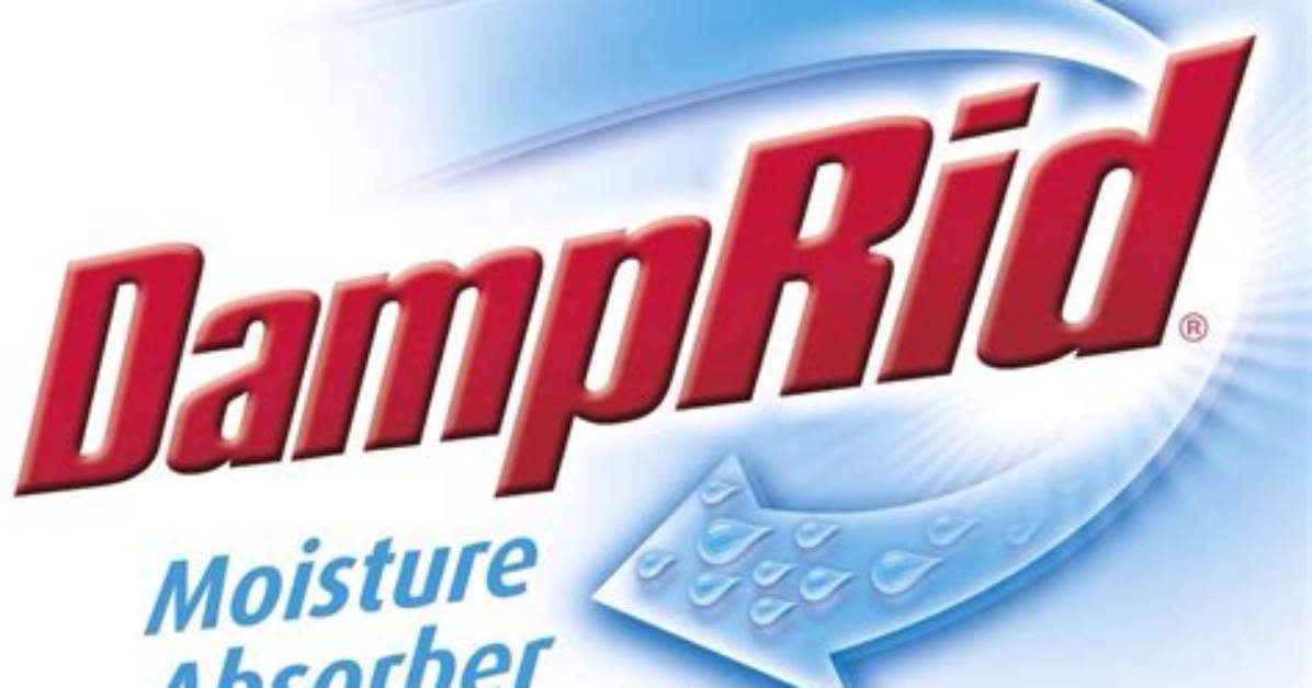 When Should I Use Damprid