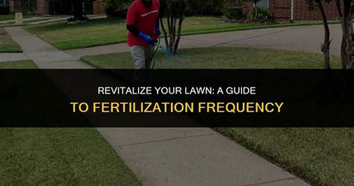 When Should U Fertilize Your Lawn