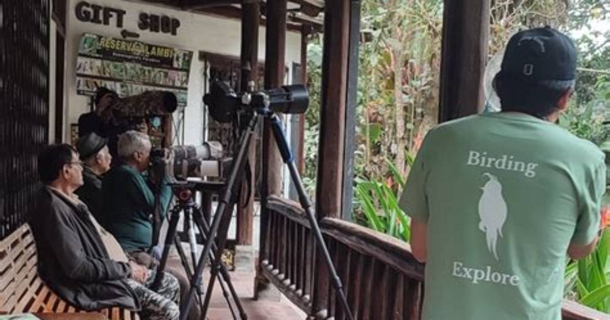 When Should You Go Birding?