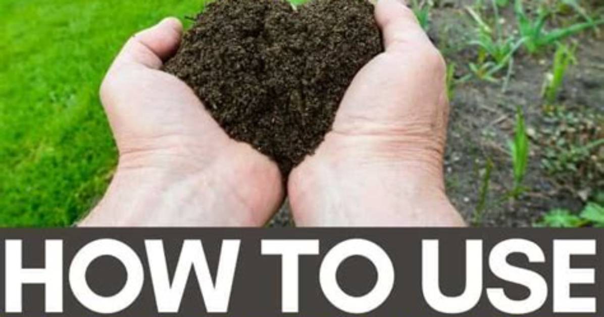 When Should You Spread Manure?