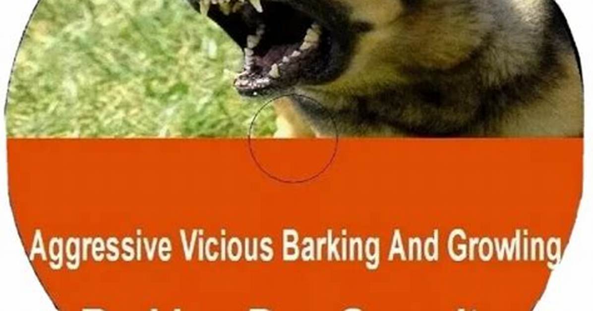 When Something Is Aggressive or Vicious It Is Called What?