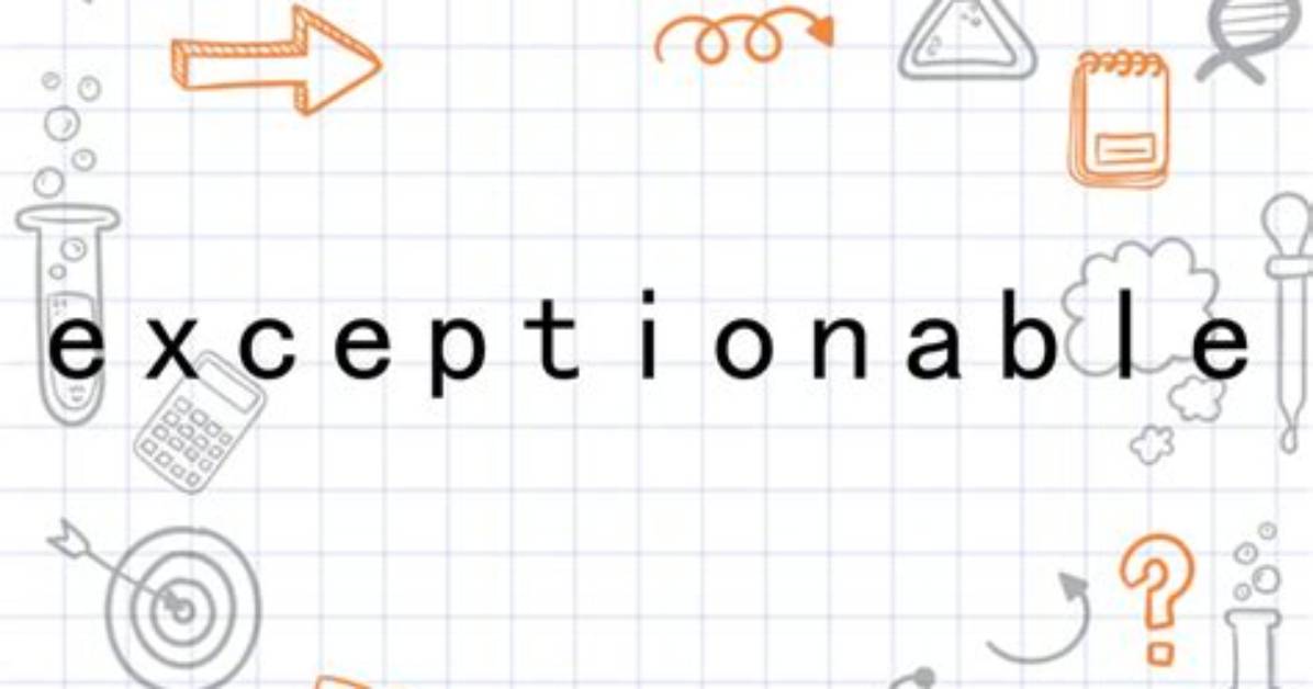 When Something Is Exceptionable?