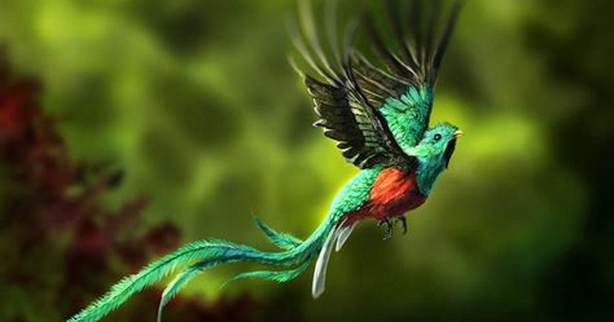 When Something Is Resplendent?