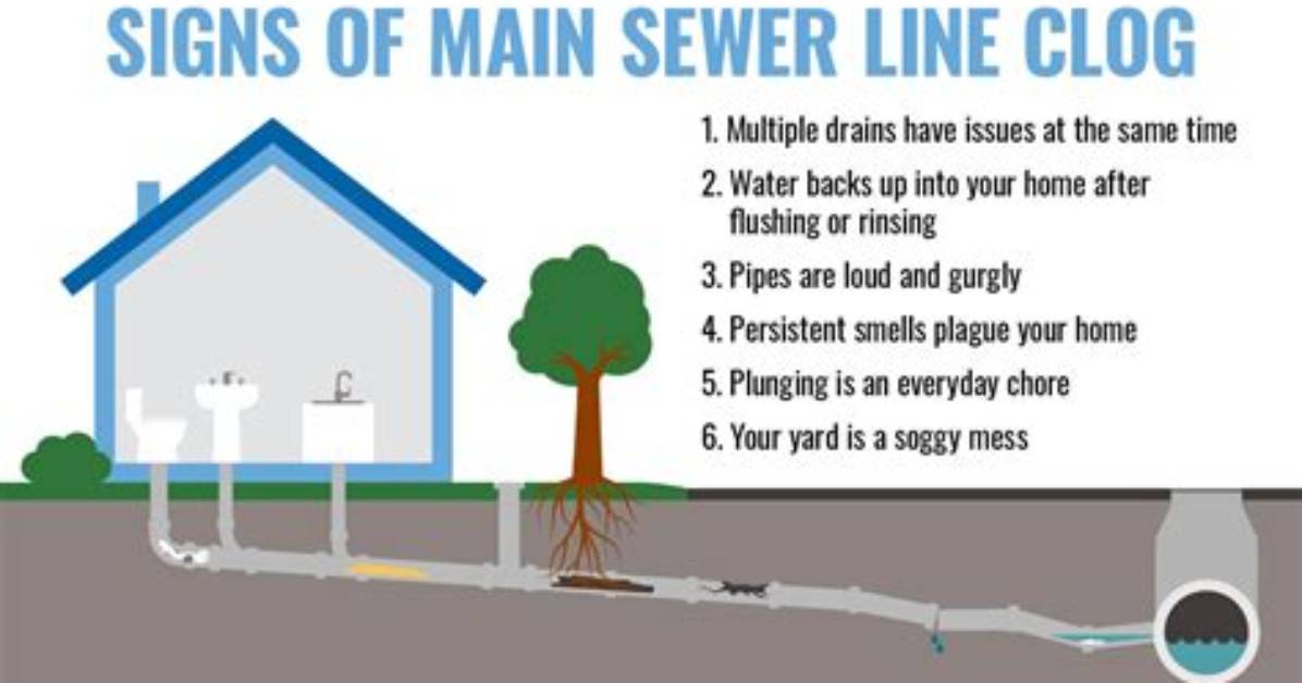 When the Sewer Line Is Clogged?