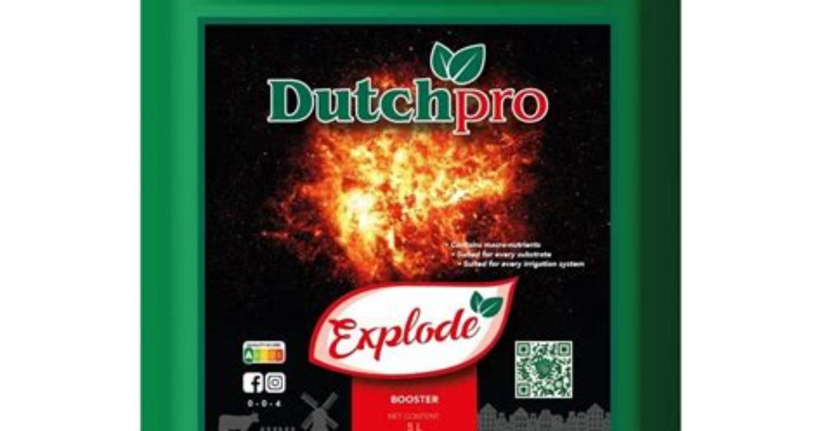 When to Add Dutch Pro Explode?