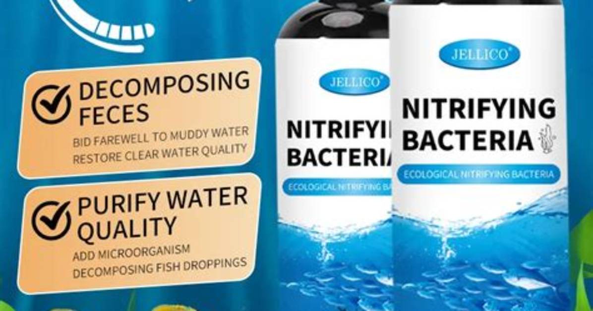 When to Add Nitrifying Bacteria?