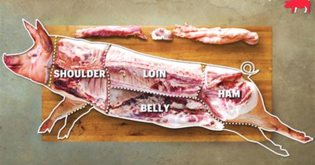 When to Butcher a Hog?