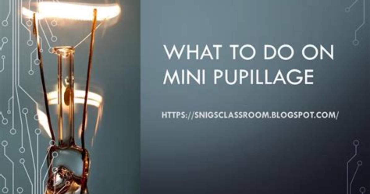 When to Do Pupillage?