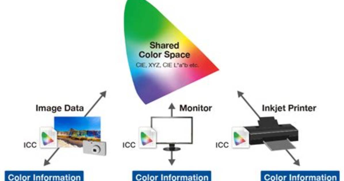 When to Embed Color Profile?