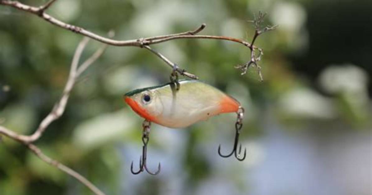 When to Fish Lipless Crankbaits?