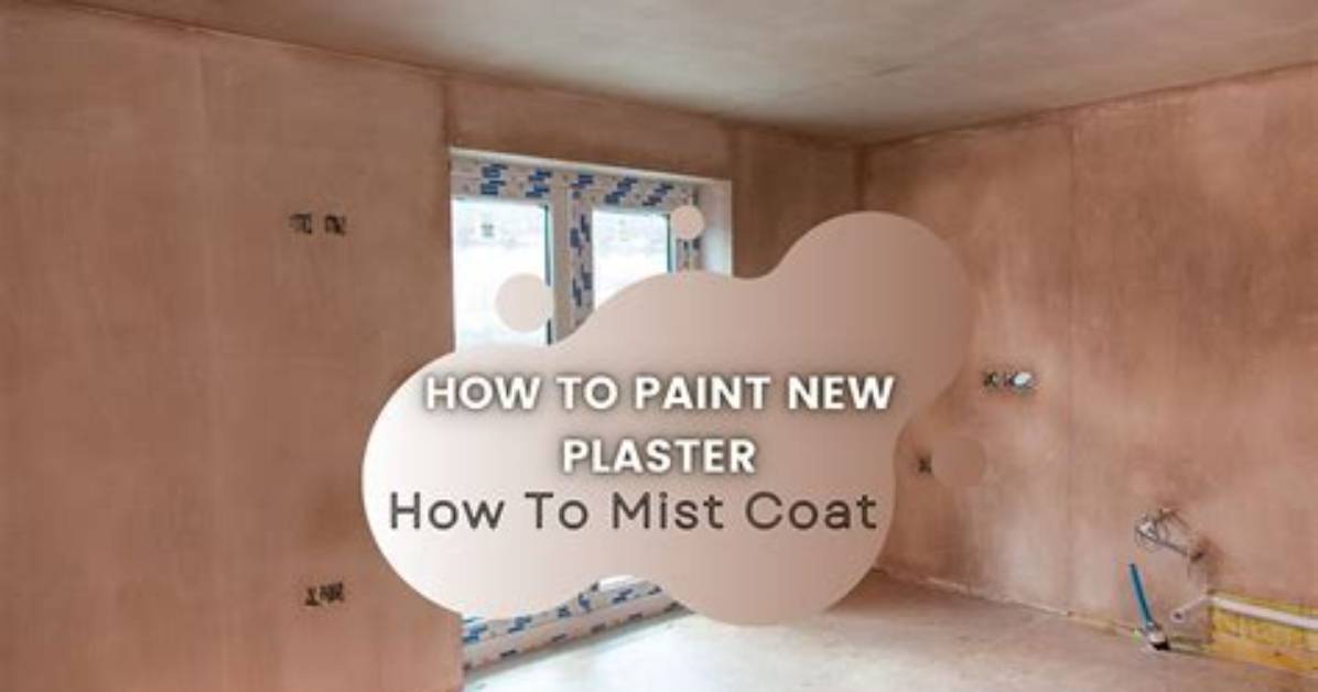 When to Mist Coat New Plaster?