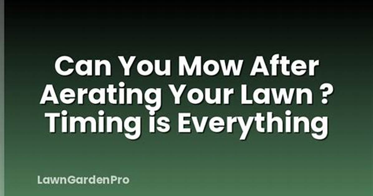 When to Mow After Aerating?