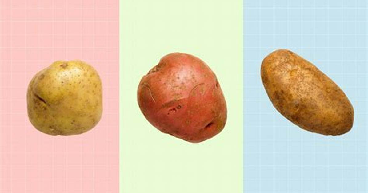 When to Pick Russets?
