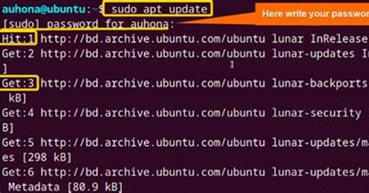 When to Run "Sudo Apt Update" and When "Sudo Apt Update && Sudo Apt Upgrade"?
