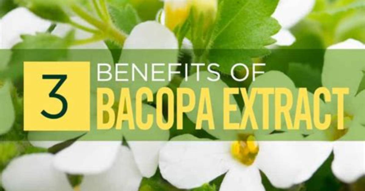 When to Take Bacopa?