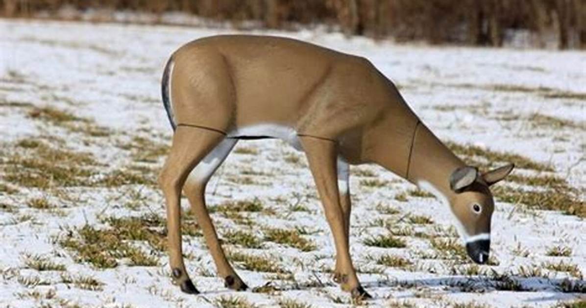 When to Use a Doe Decoy?