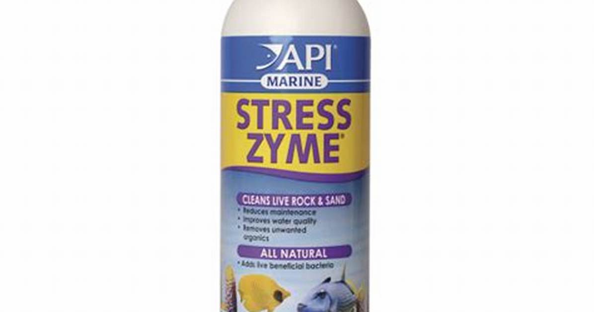When to Use Api Stress Zyme?