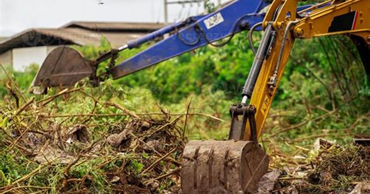 When to Use Clearing and Grubbing?