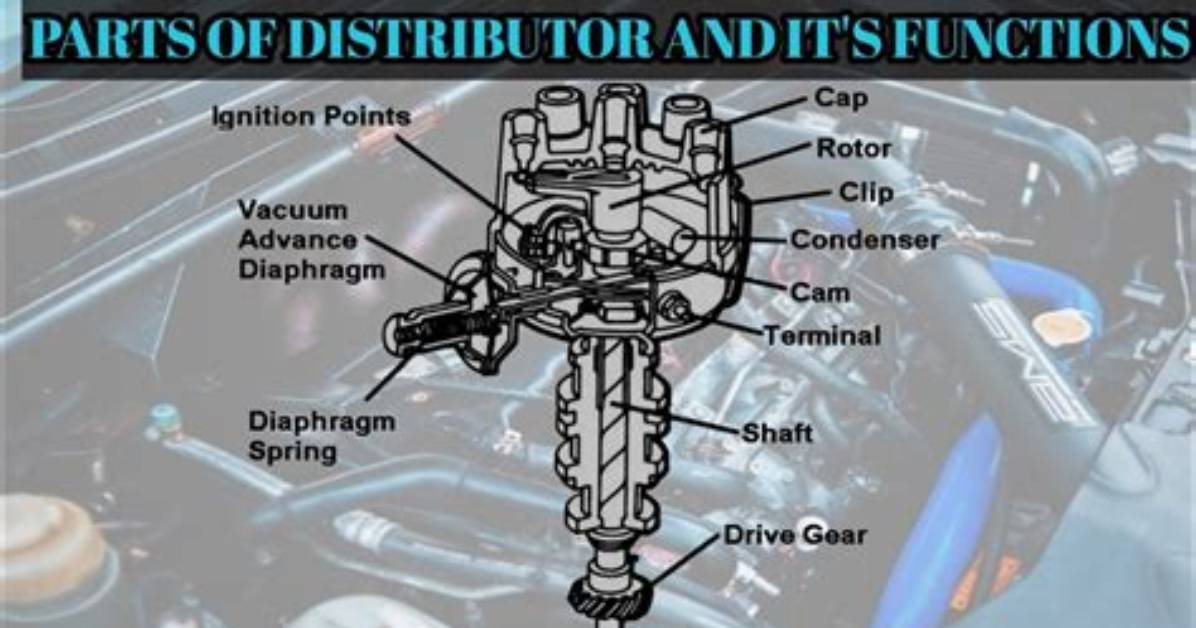 When to Use Distributor?
