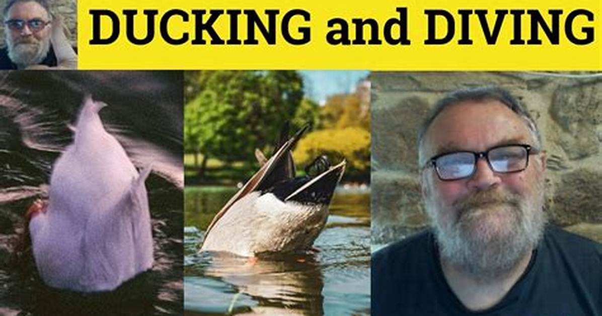 When to Use Ducking and Diving?