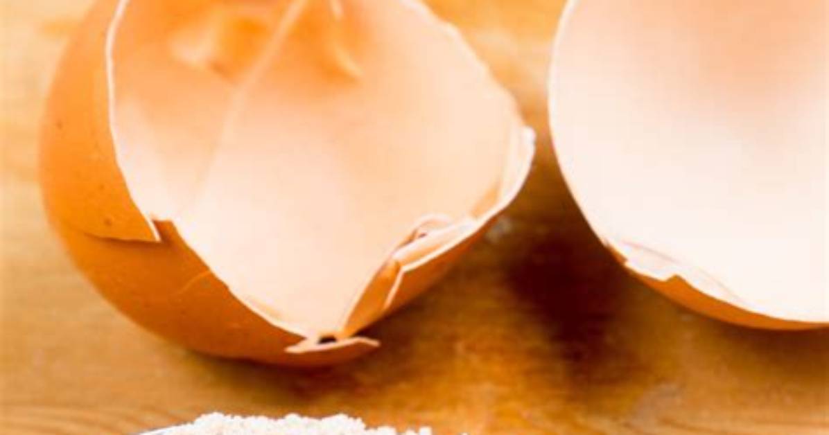 When to Use Egg Shell?