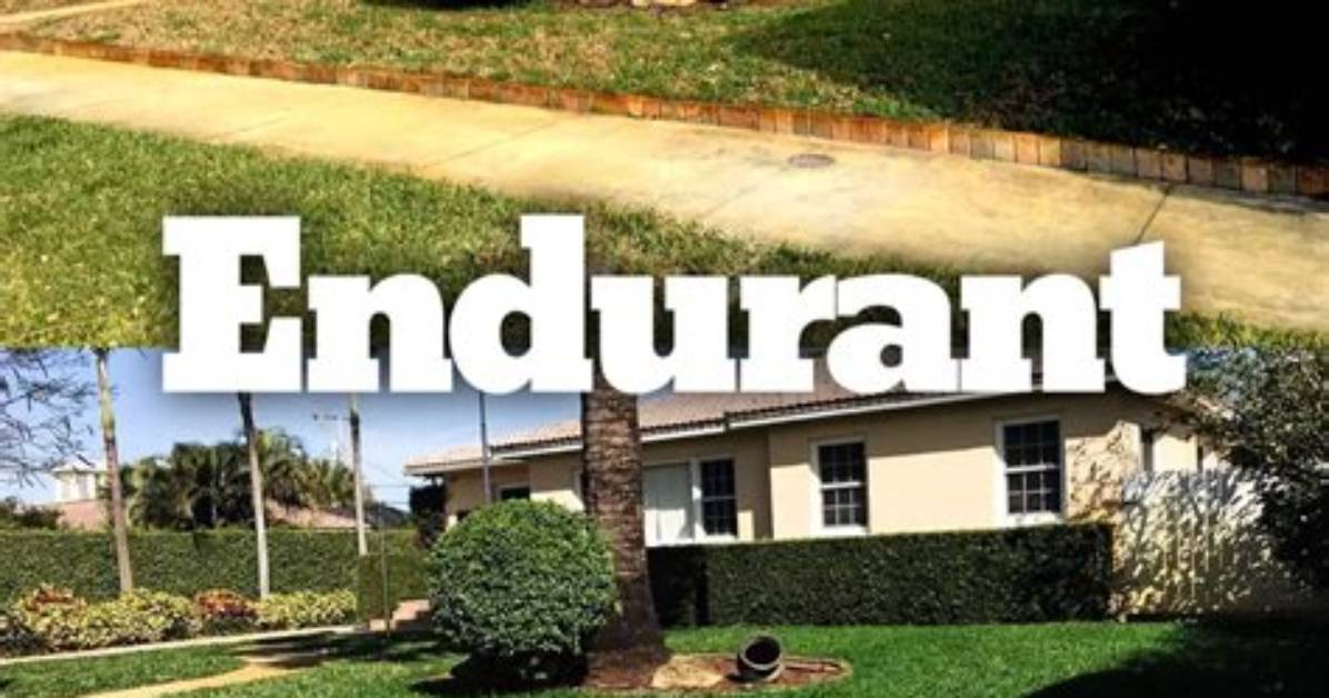 When to Use Endurant?