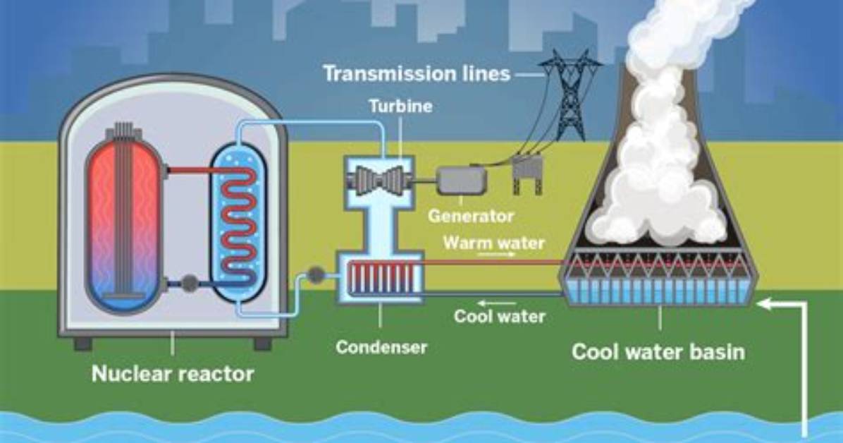 When to Use Nuclear?