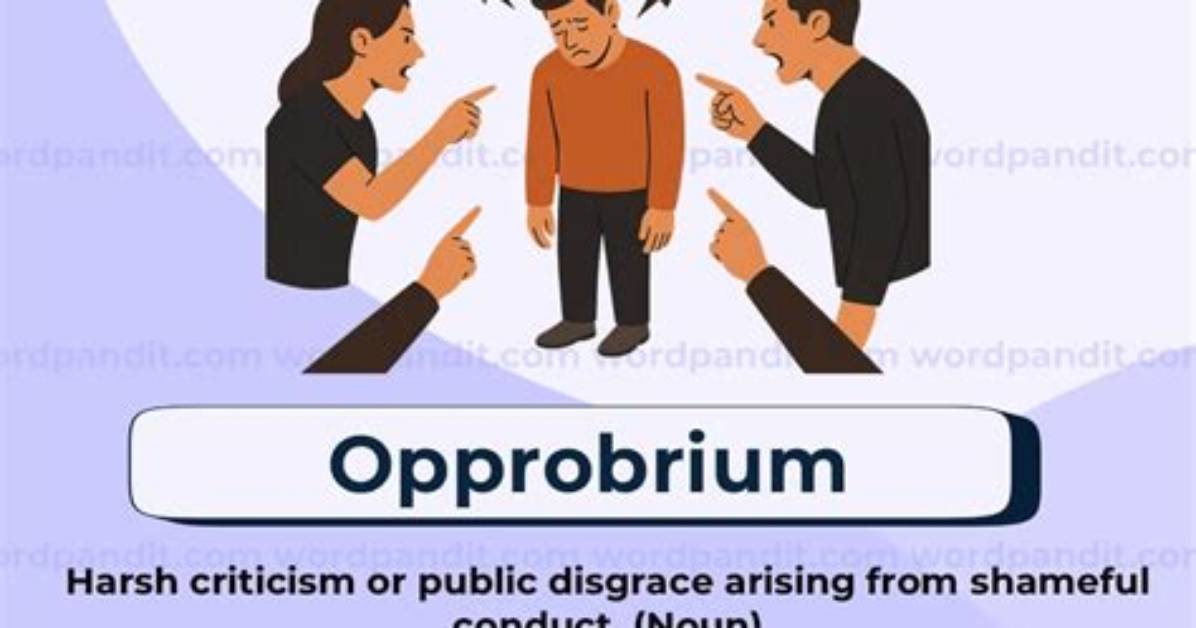 When to Use Opprobrium?