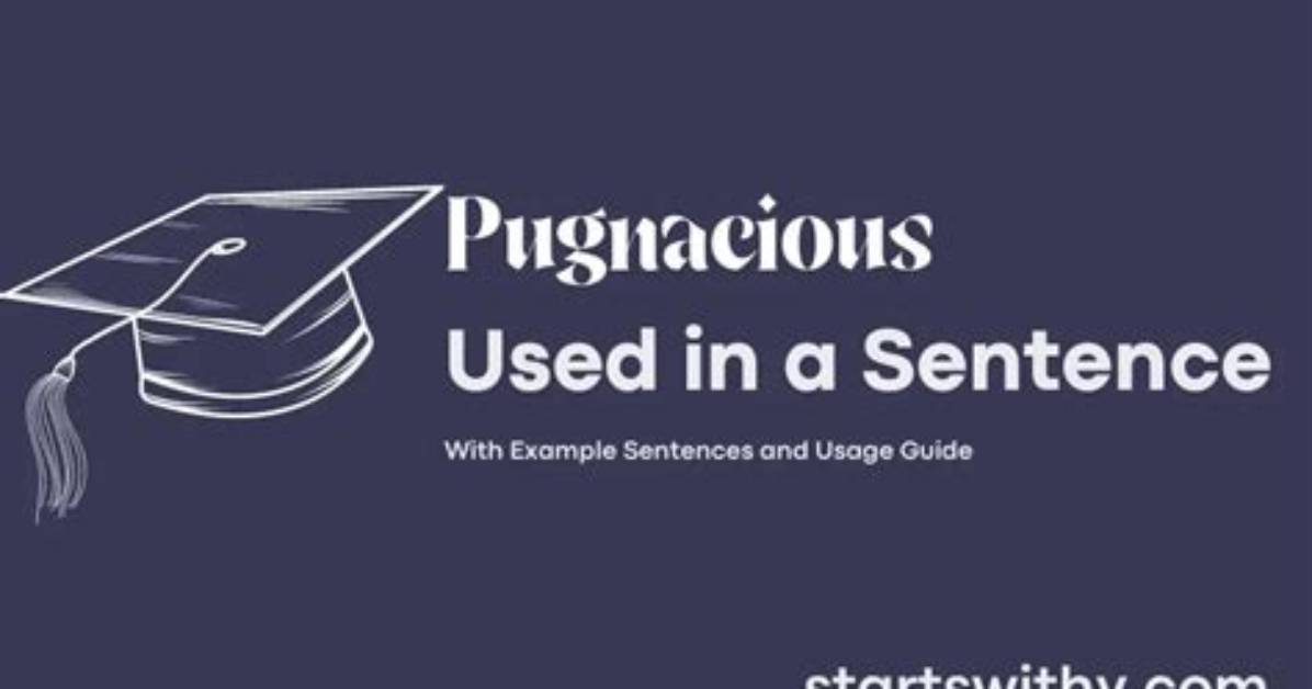 When to Use Pugnacious?