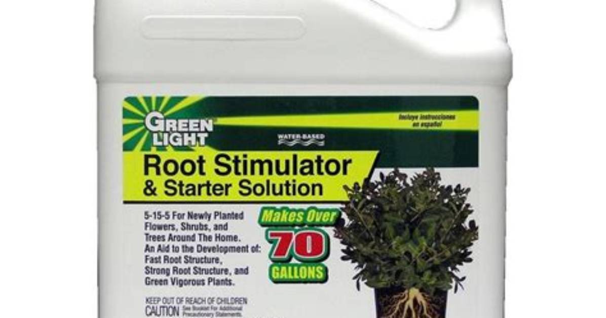 When to Use Root Stimulator?