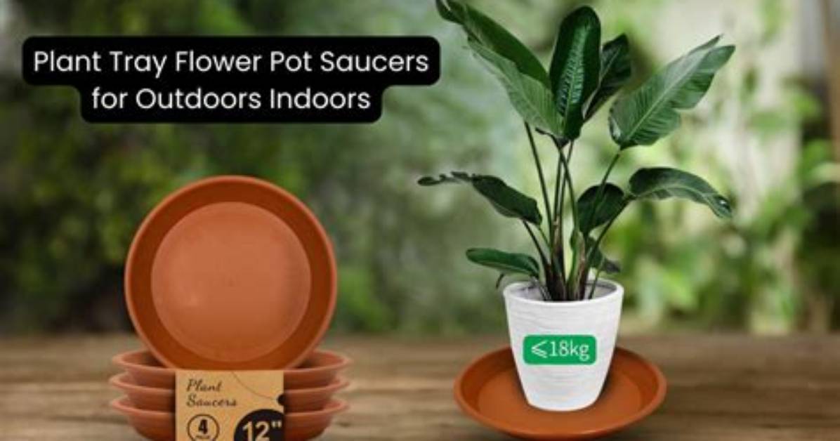 When to Use Saucers?