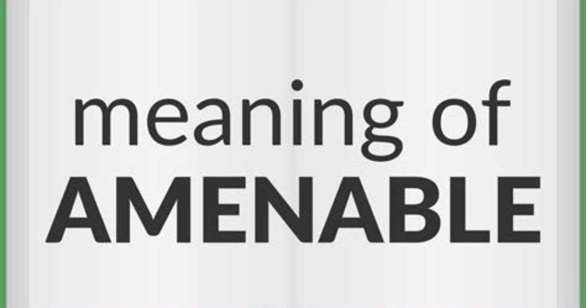 When to Use the Word Amenable?