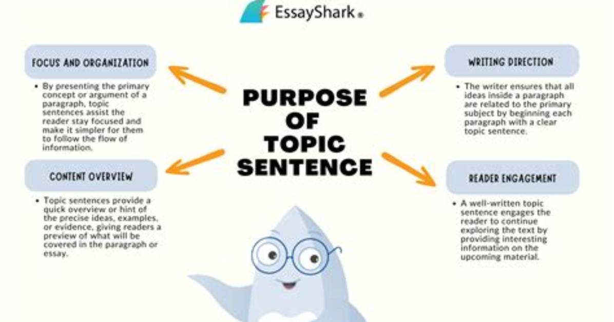 When to Write Topic Sentence?
