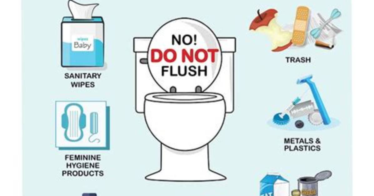 When Toilets Don't Flush?