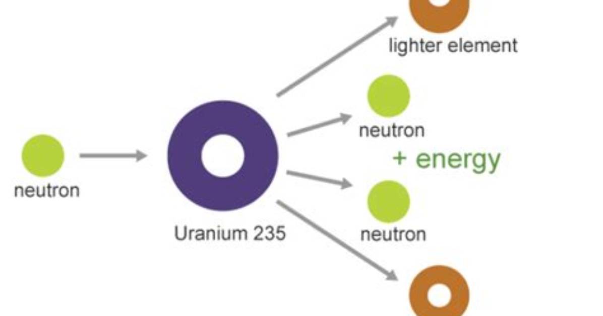 When Uranium Atom Splits What Is Released?