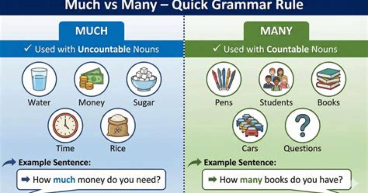 When Use Much or Many?