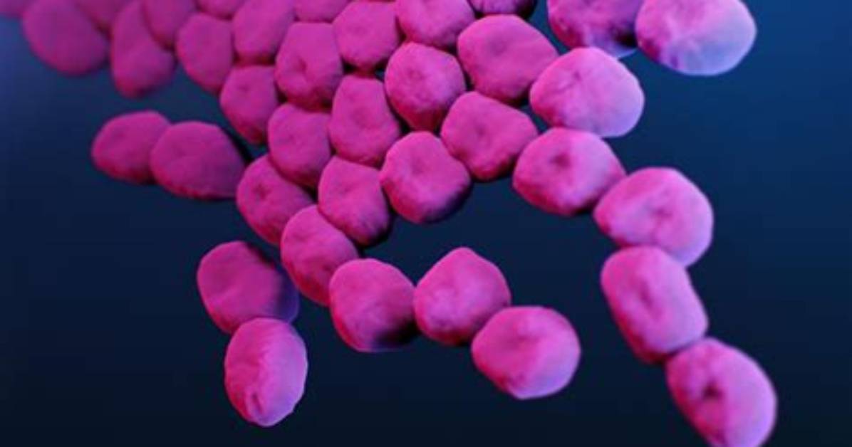 When Was Acinetobacter Baumannii Discovered?