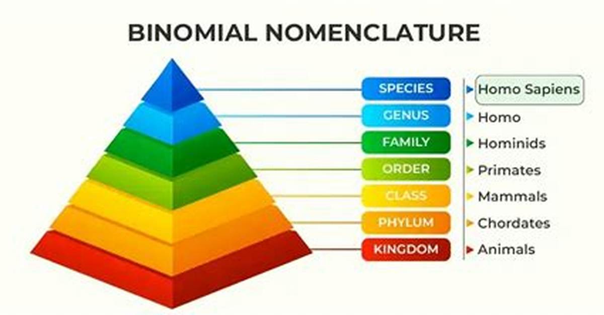 When Was Binomial Nomenclature Introduced?