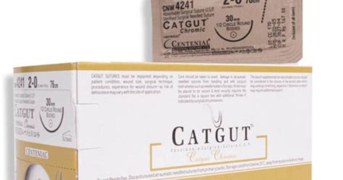 When Was Catgut Invented?
