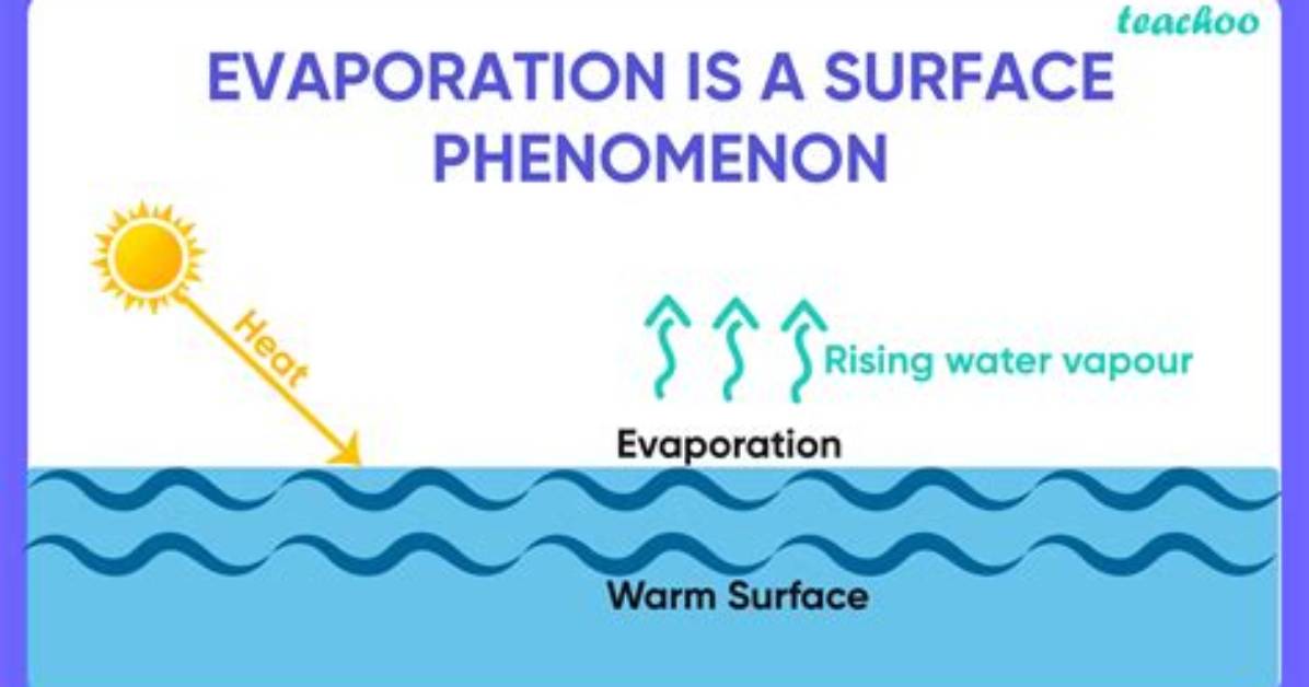When Was Evaporation Discovered - Lisbd-Net. Com