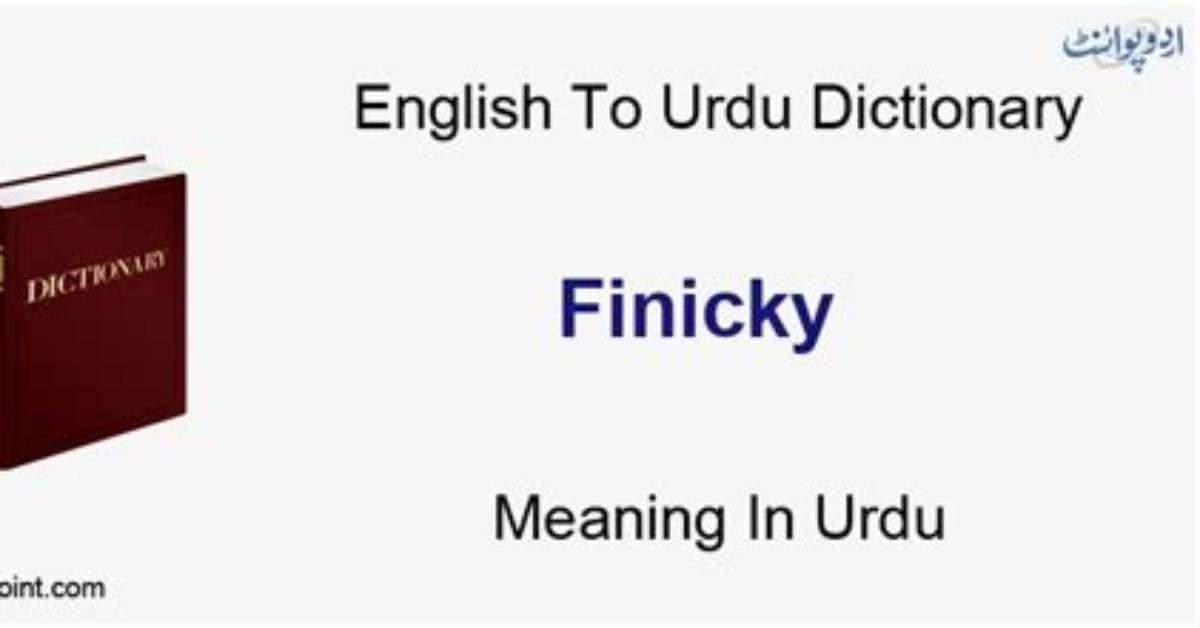 When Was Finicky Added to the Dictionary?