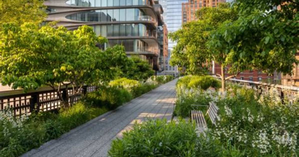 When Was High Line Built?