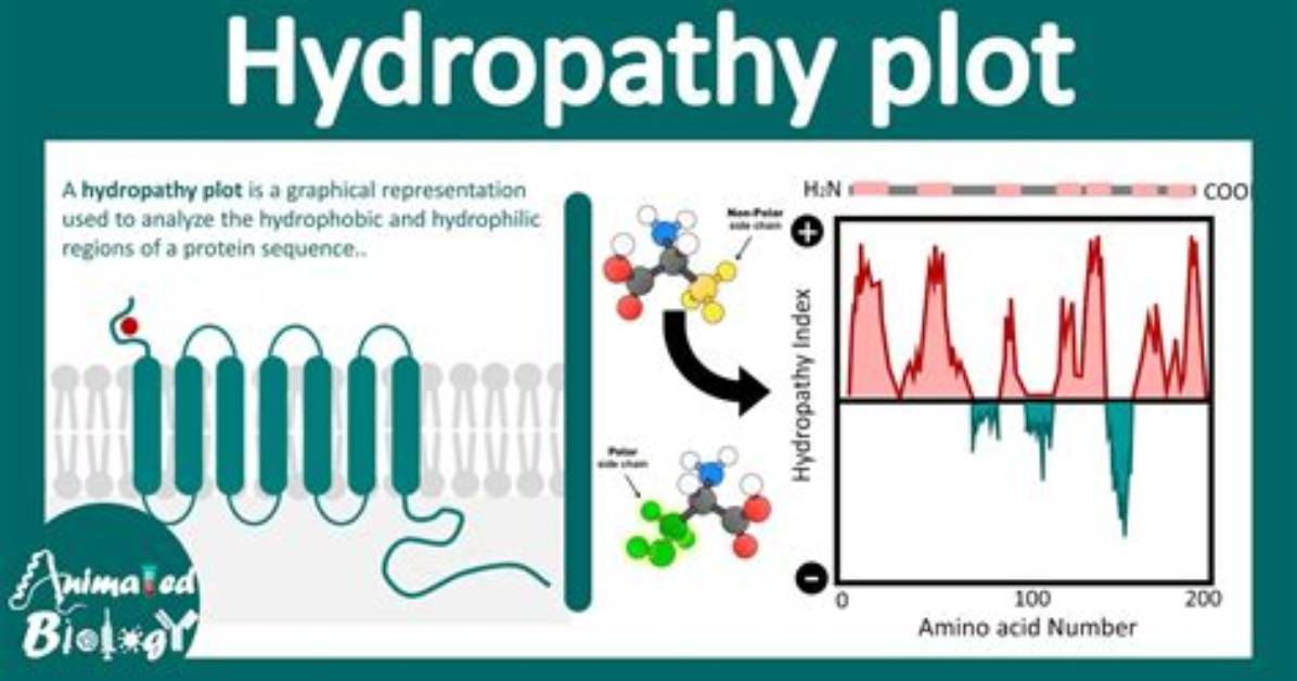 When Was Hydropathy Established?